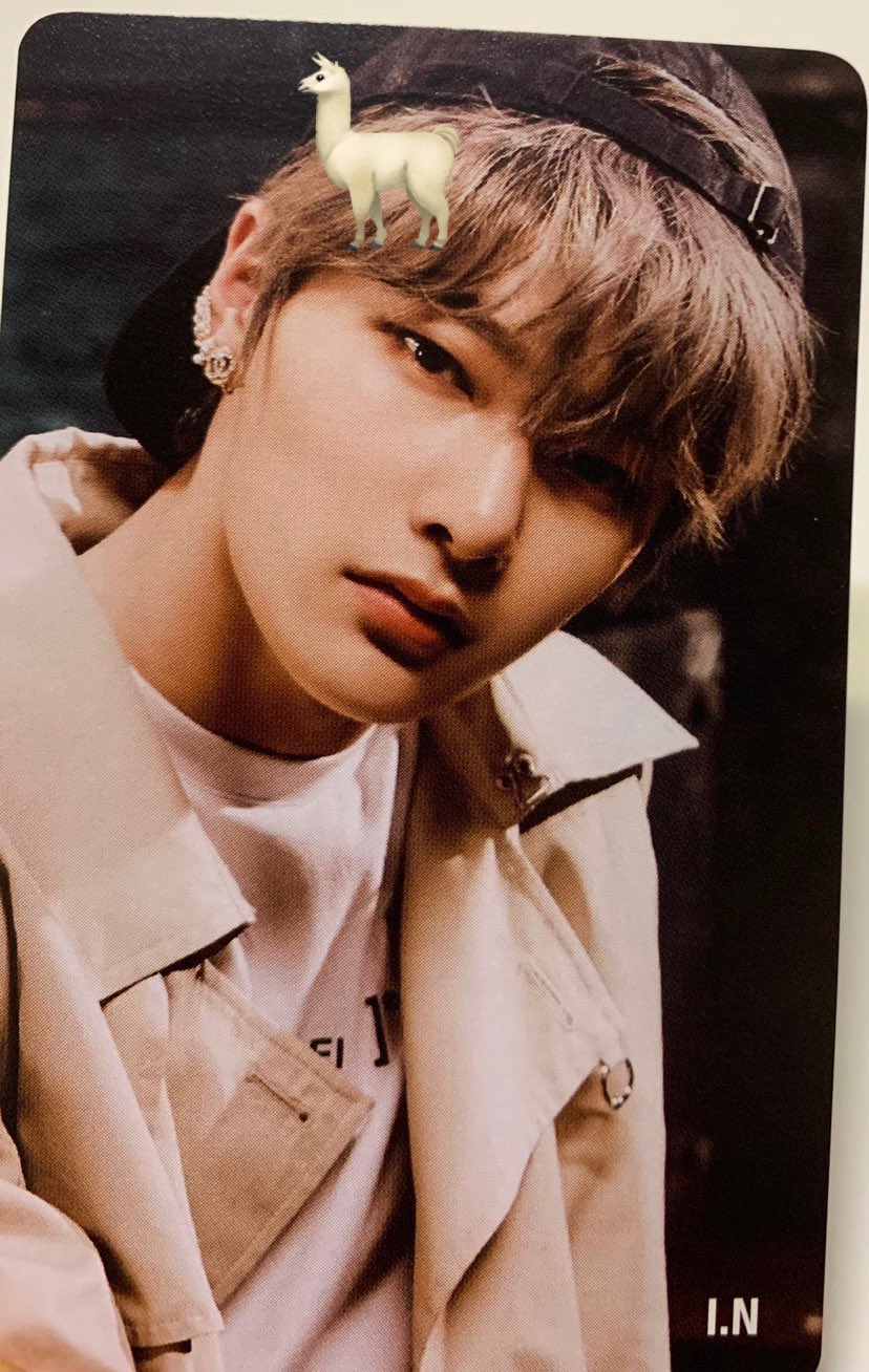 スキズ ALL IN 新宿HMV ヒョンジン 特典 トレカ スキズ ALL IN 新宿HMV