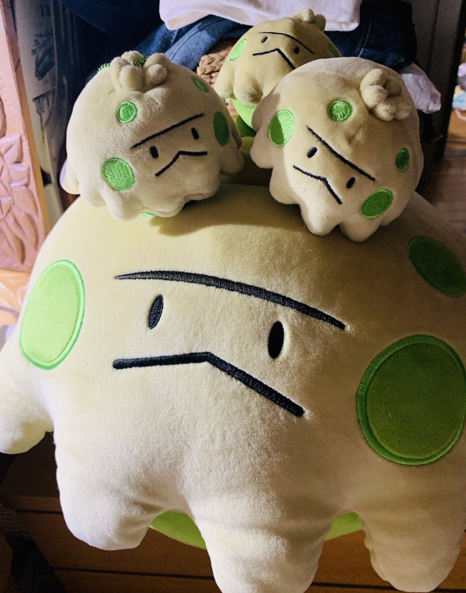 毎日癒しをくれるキノココちゃん☺️ ゲームで出会ったときから一番