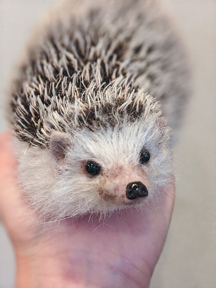 1年に1度だけ作ろうと思っているスーパーリアルハリネズミ、今年も作り