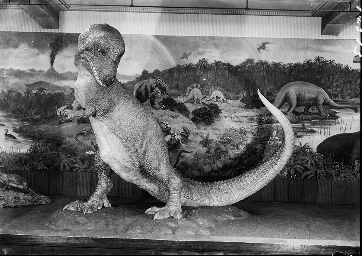 さて、1964年の恐竜展示（日本館1階南翼）はどのようなものだったかと