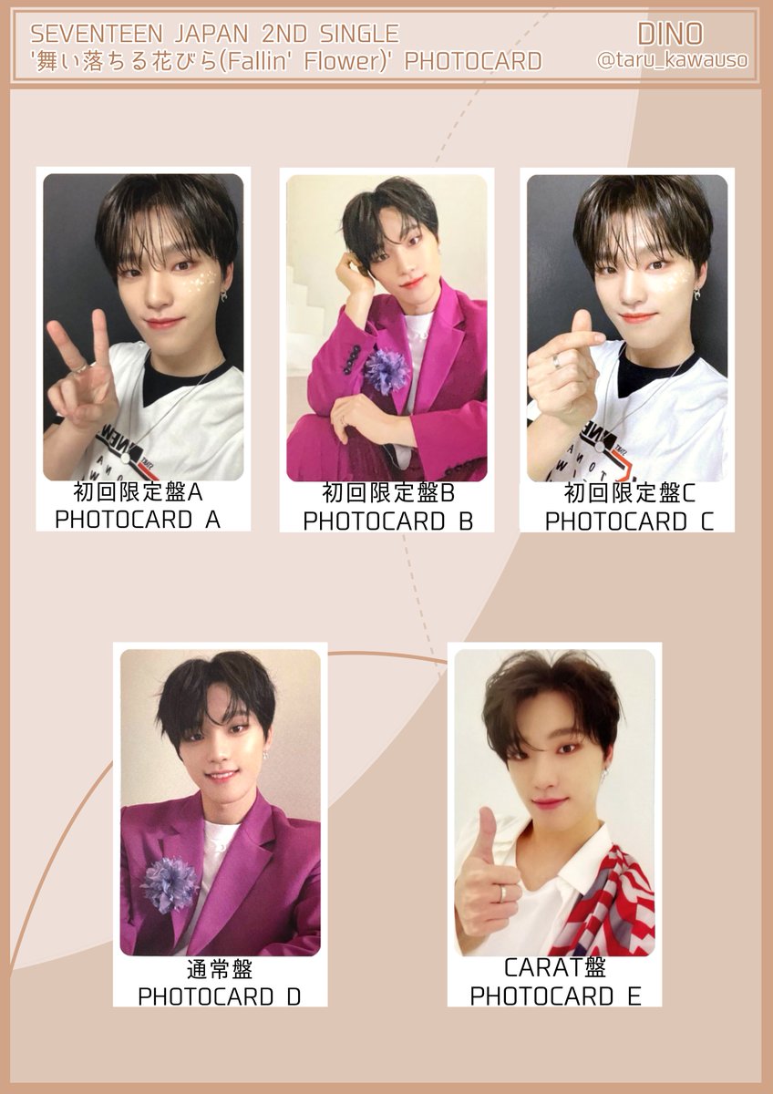 SEVENTEEN セブチ 舞い落ちる花びら Fallin' Flower フォトカード