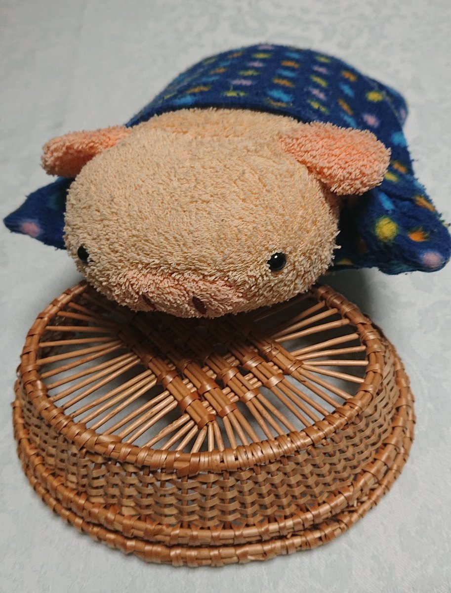 14年くらい大事にしてるぶたのぬいぐるみ。フリッカのよつんばい