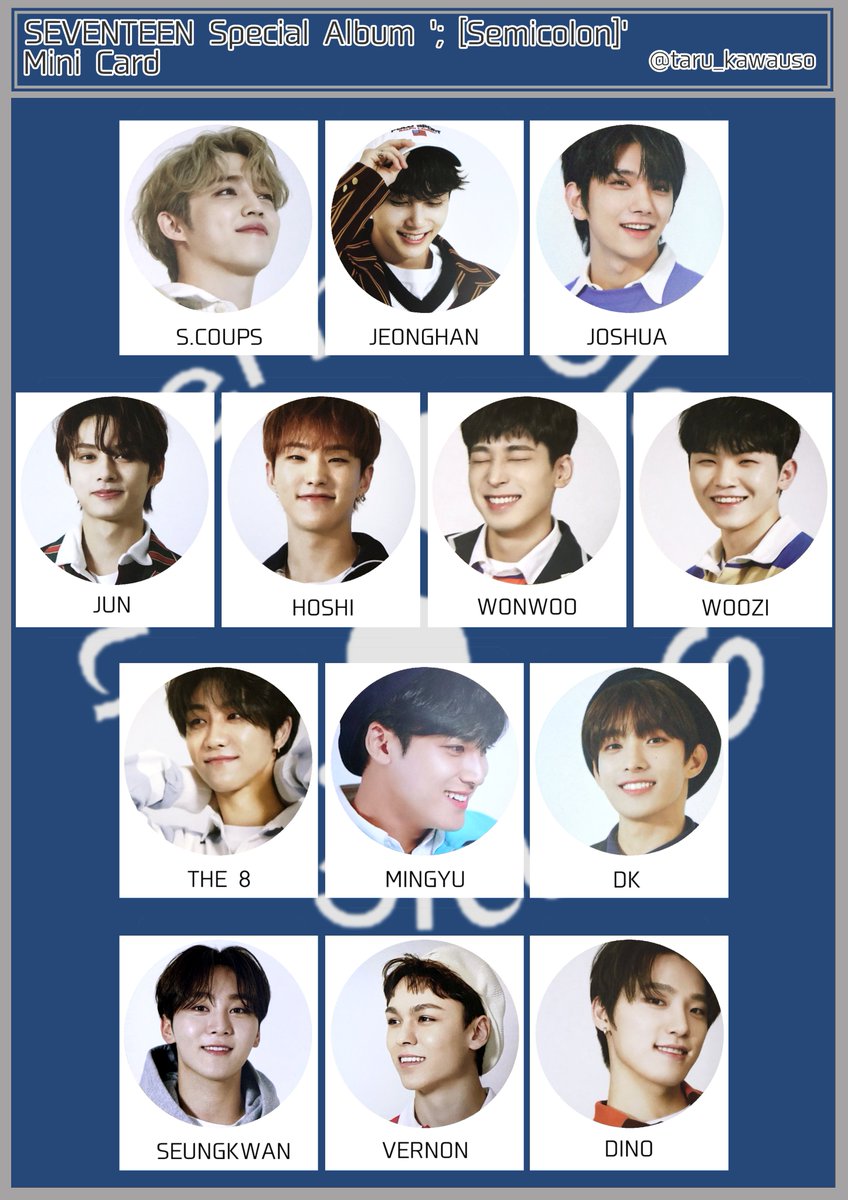 SEVENTEEN セブチ Special Album ； Semicolon セミコロン Minicard