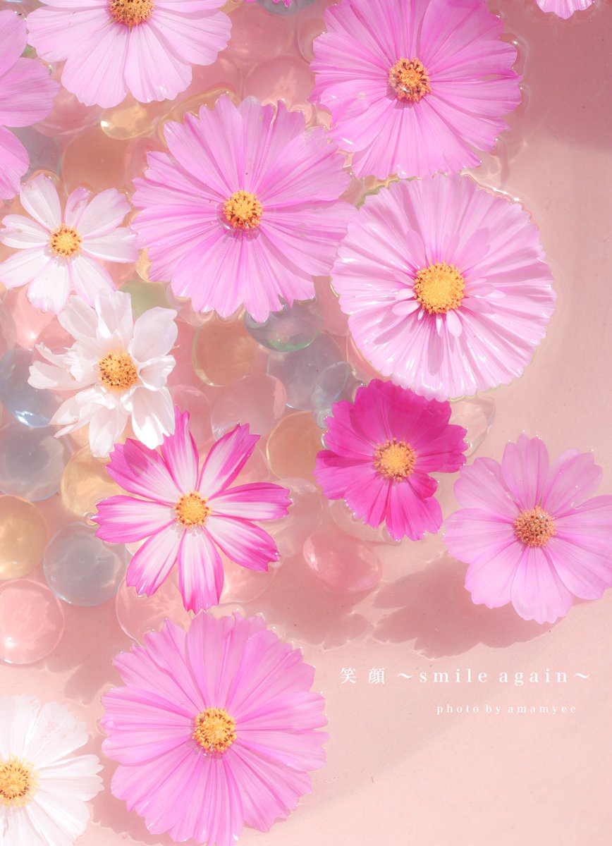 インスタで大人気だった、 般若寺さんの花水鉢。 たくさんの方に