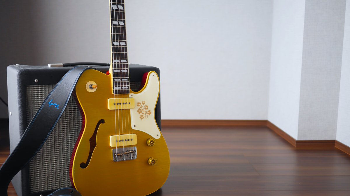 新しいギターを手に入れました】 Bruno Guitars TN-295 ・P90 ・シン