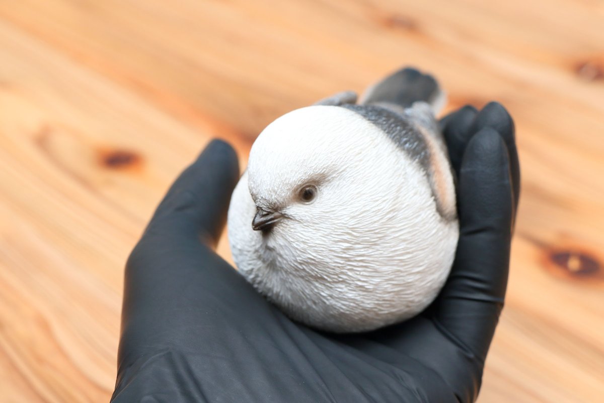 Post by ぼく、シマエナガ。 on X: 手乗りシマエナガ