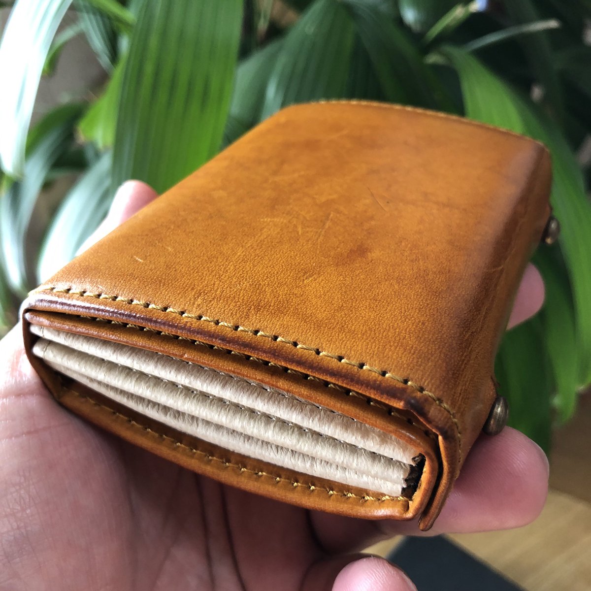 エムピウ ミッレフォッリエのエイジング、経年変化。カラーはナポリで