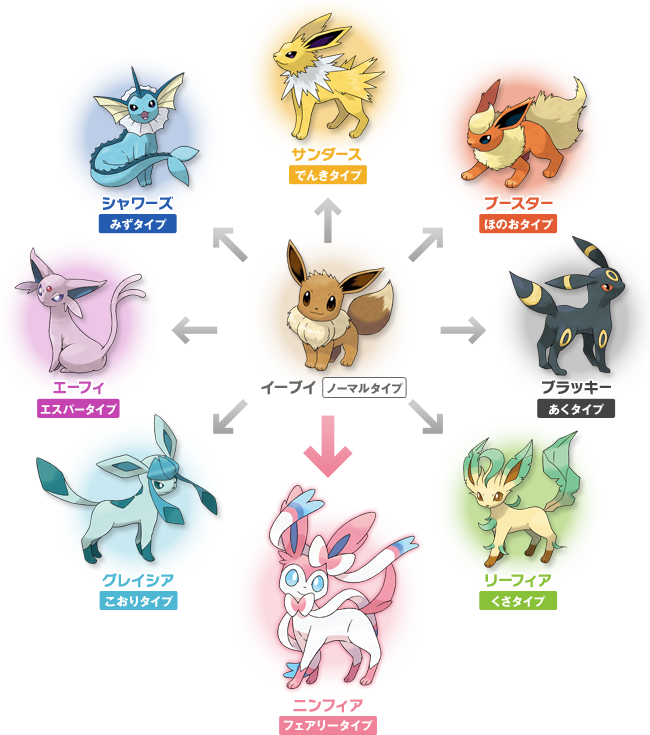 イーブイの進化系 ①イーブイ「ノーマルタイプ」 ②シャワーズ「水