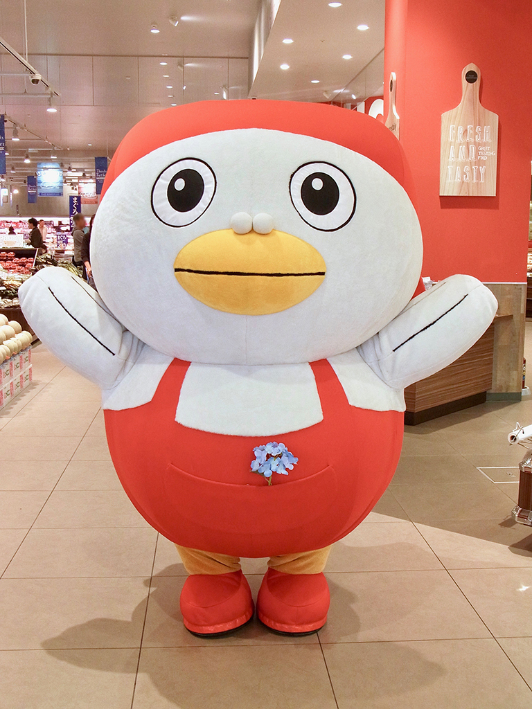 ぬお〜、間に合わなかった。） 去年の昨日、6月15日は初めて生