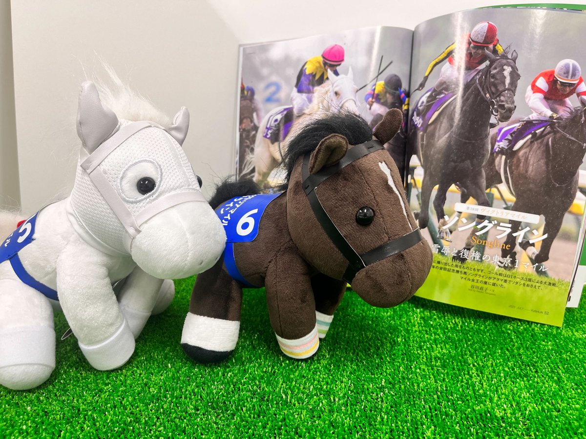 ✨#アイドルホース 新商品✨ アイドルホース（S、Mサイズ）に 『ソング