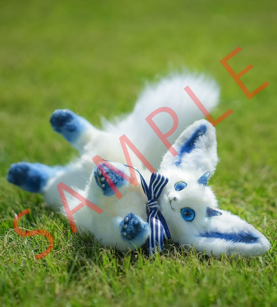 11月新刊】『茶々 天体獣ぬいぐるみ図鑑』Amazon予約開始！ アート