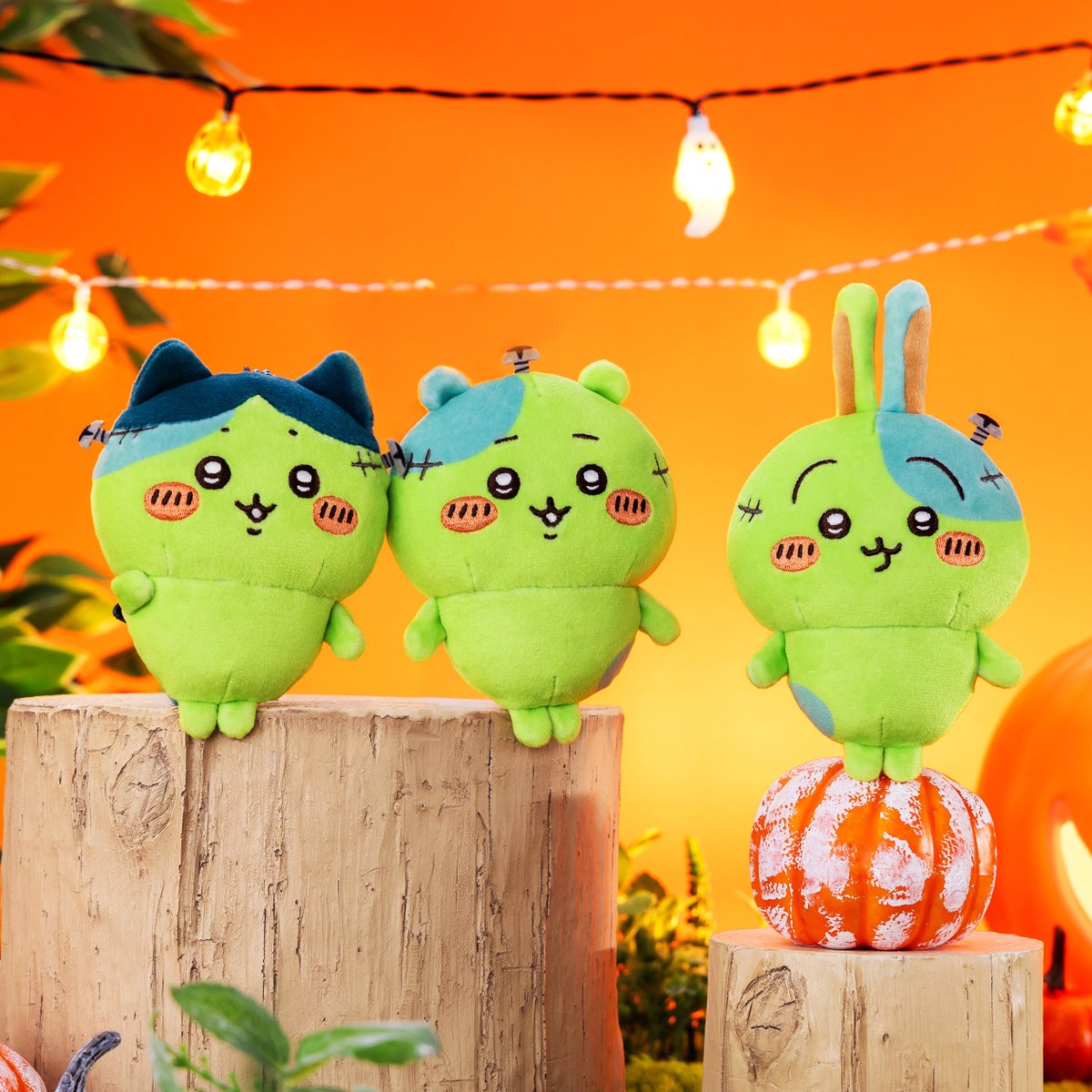 F6d730xbgAATuj-.jpg?format=jpg