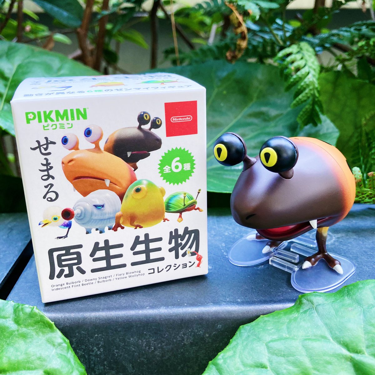 ピクミンせまる原生生物コレクション！ 記念すべき1匹目は
