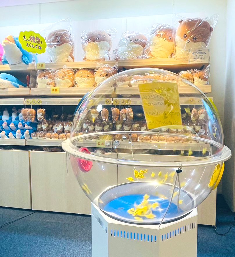 ナガノのカワウソ ぬいぐるみくじ🎯 2階オッターショップで、8月6日(日