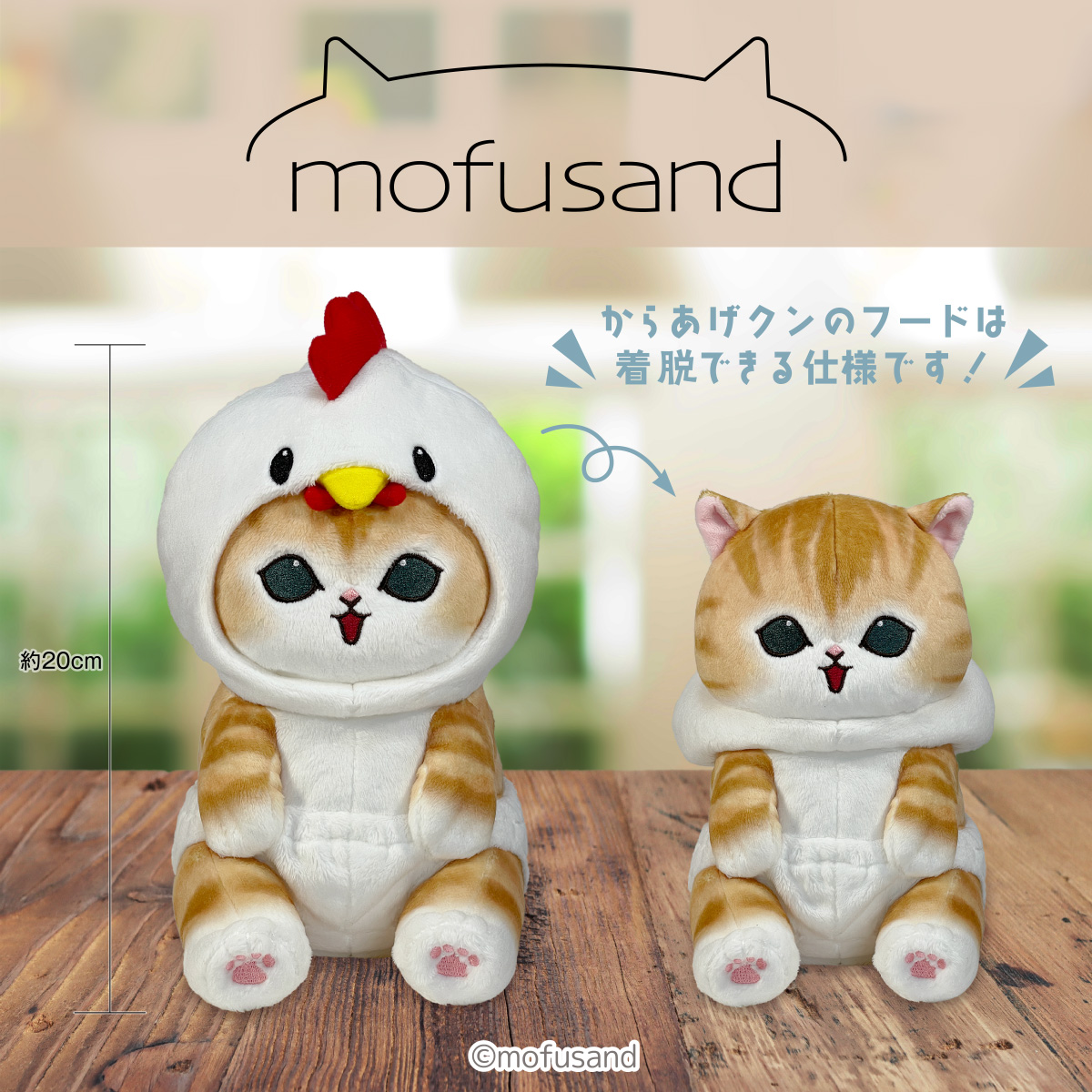 2次予約受付中】 本日7/25(火)より＠ Loppi・HMV&BOOKS onlineで