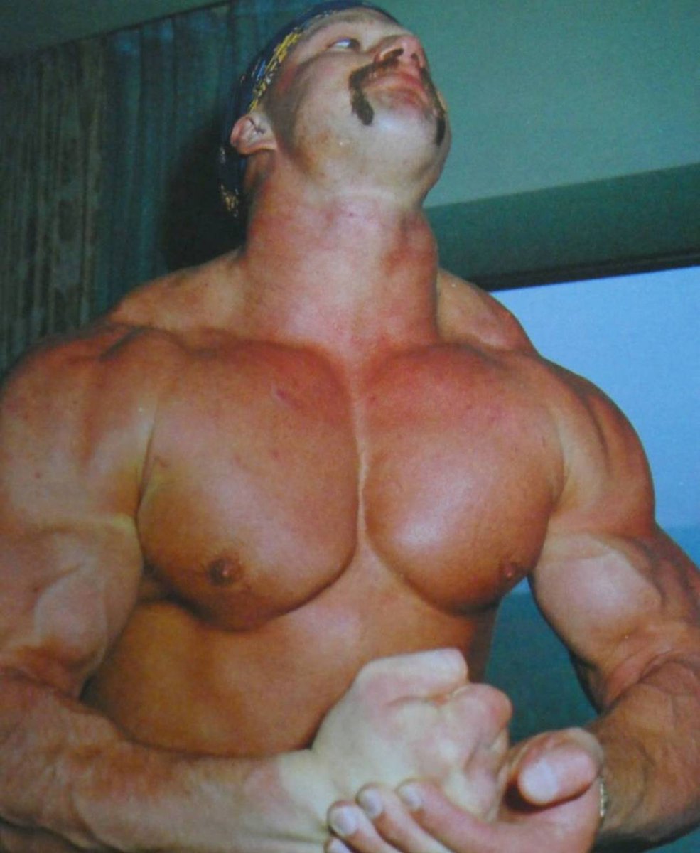 ザ・ロード・ウォリアーズ #ホーク・ウォリアー #アニマル・ウォリアー