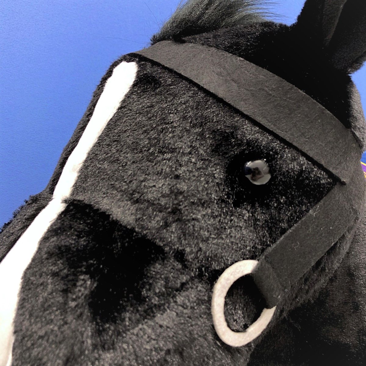 プライズ商品】 ふわふわBIGから「#イクイノックス」が登場‼ 昨日の