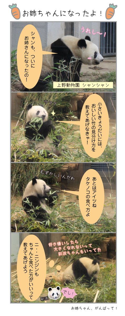 1年前の上野家 その2🐼 #リーリー #シンシン #シャンシャン