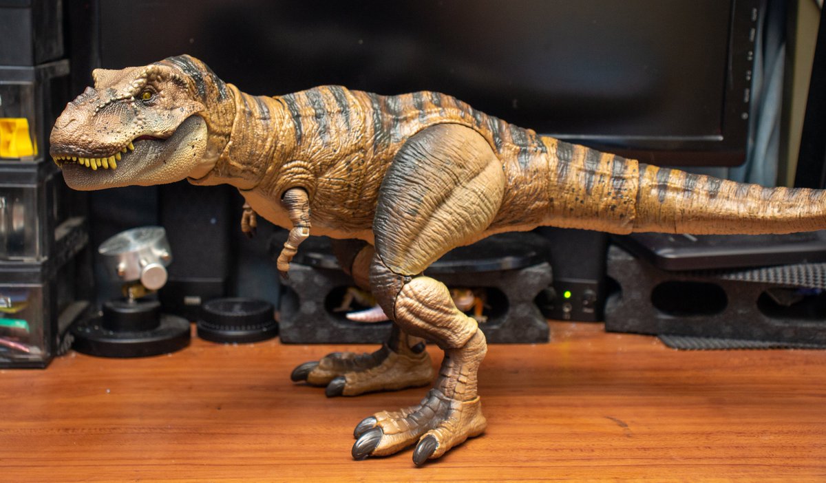 ﾏﾃﾙ ﾊﾓﾝﾄﾞｺﾚｸｼｮﾝ ﾃｨﾗﾉｻｳﾙｽのレビューです。33年生きてきて、今までで一