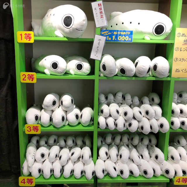 あす9月26日(日)も9時より開館いたします。 ショップのお知らせですが