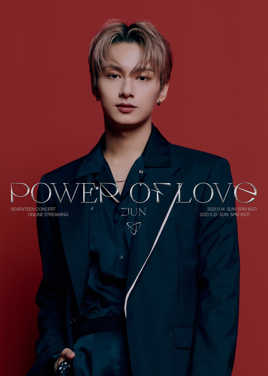 seventeen ジョンハン power of love うちわ SEVENTEEN セブチ ジョンハン ファンミ LOVE うちわ&ストラップセット