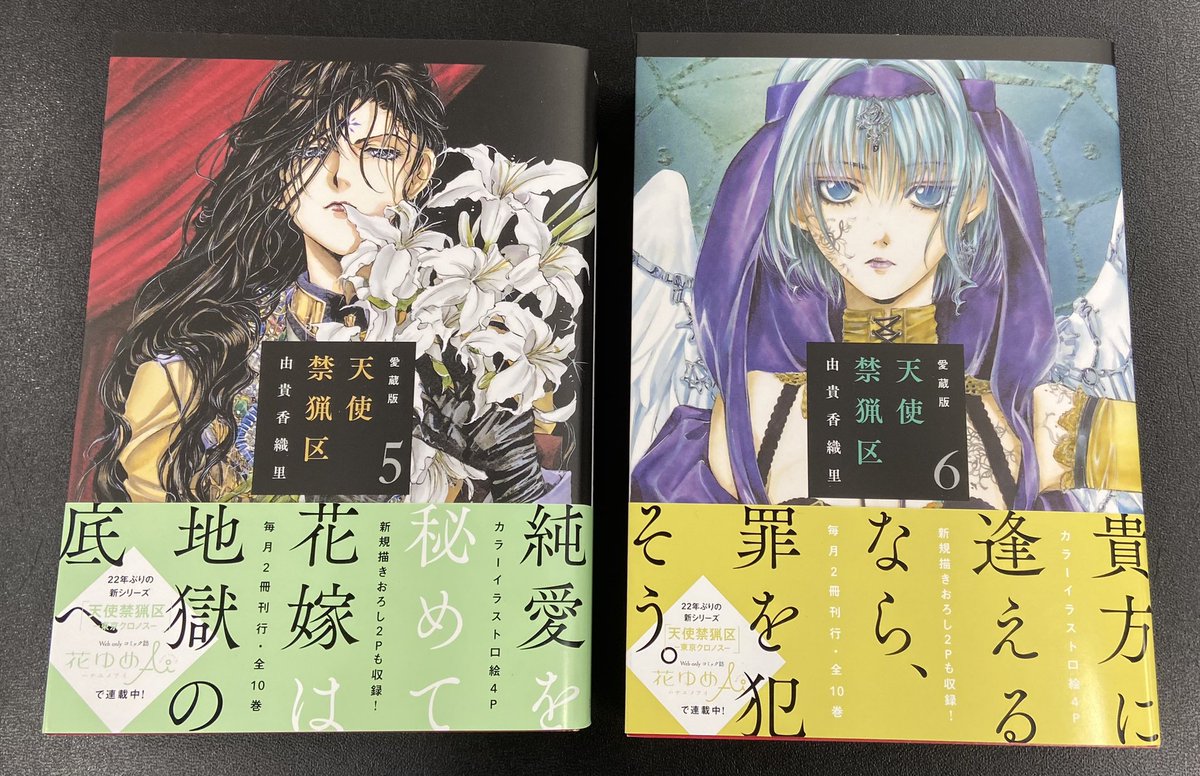本日 11/18発売！】 由貴香織里 「愛蔵版 天使禁猟区」5・6巻 九雷を