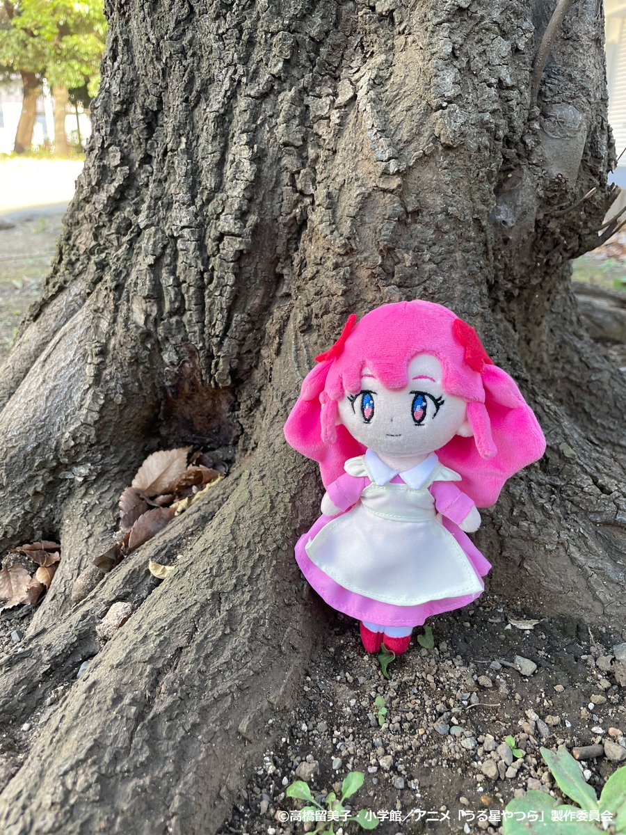 ⚡明日まで⚡ TVアニメ「うる星やつら」より『あたるのために作った