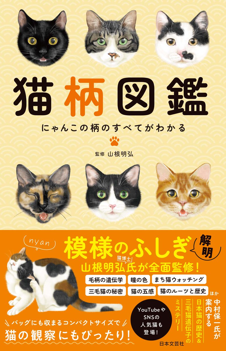 猫柄図鑑』が日本文芸社より3月1日に発売されます🎉 猫の毛色や瞳の色