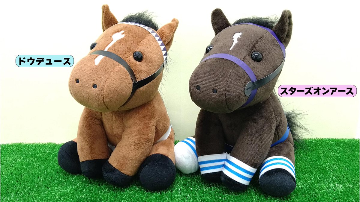 アイドルホースの新顔が揃って登場！】 お待たせしました