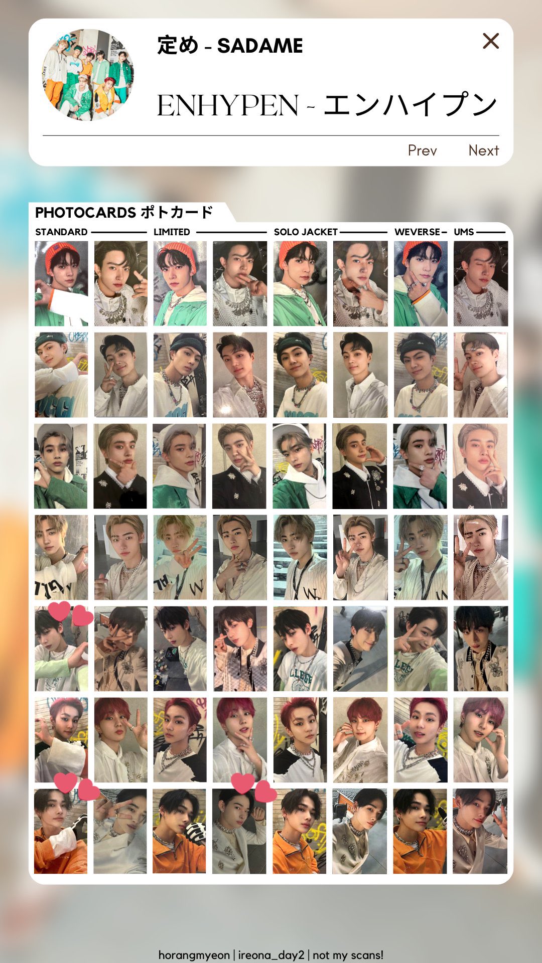 ENHYPEN ニキ アンケートトレカ 2025 ENHYPEN ニキ 2025 会報 FC