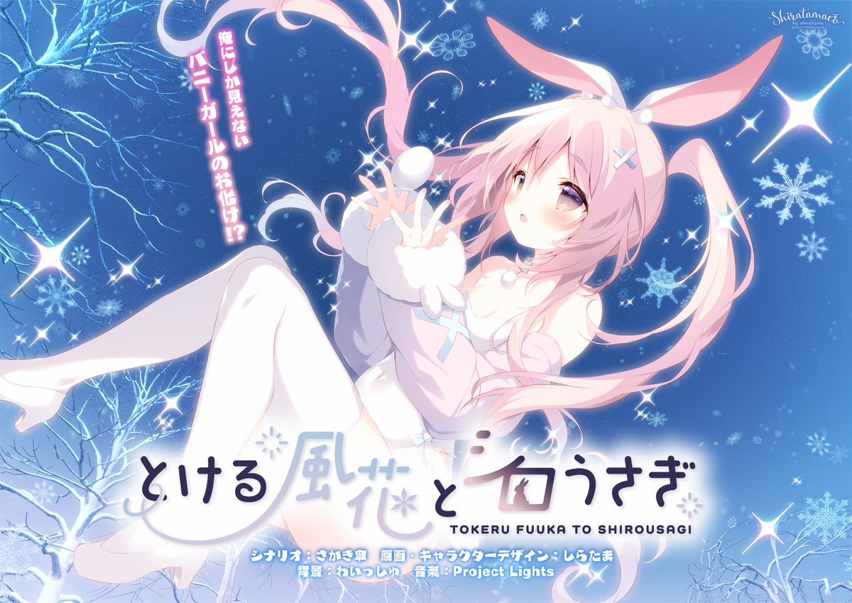 しらたま❄️新作ゲーム2本制作中🐇🫖 (@shiratamacaron) / Posts / X