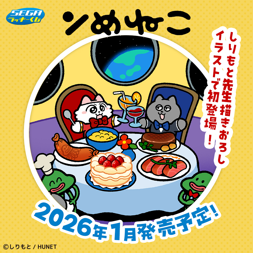💛￣￣￣￣￣￣￣￣￣￣￣￣🎉 SNSで大人気の #ンめねこ セガ ラッキー