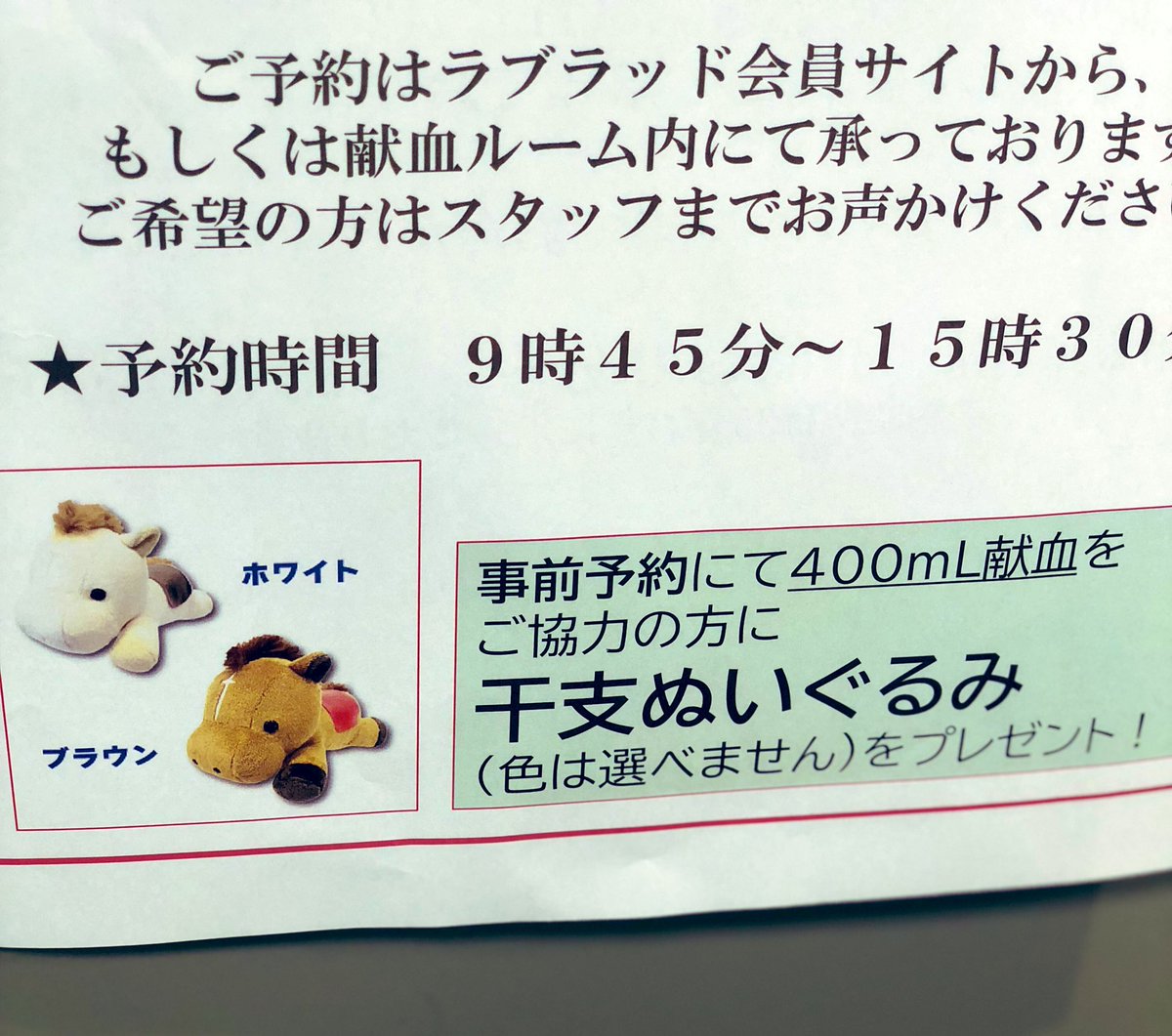 献血して休んでる。 元旦に献血したら、 ウマのぬいぐるみ貰えたらしい