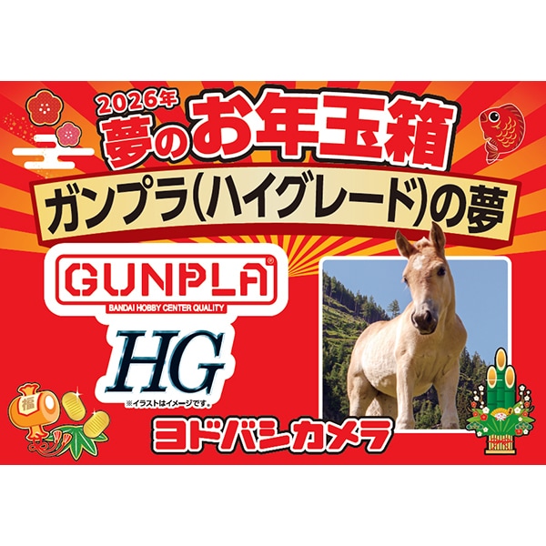 ヨドバシ・ドット・コムにて「2026年 夢のお年玉箱」の追加抽選販売