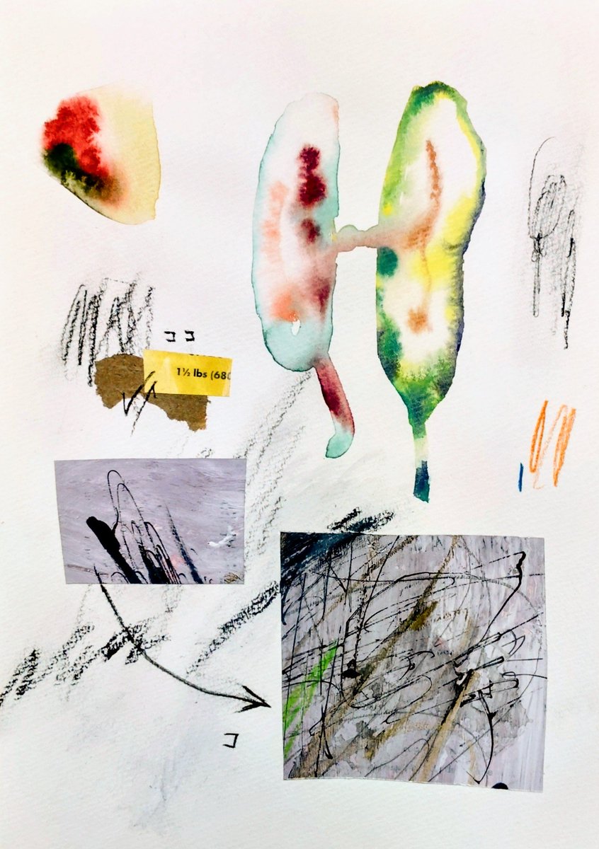 侘助(wabisuke) (@wbsk_z_yvonne) / Posts / X