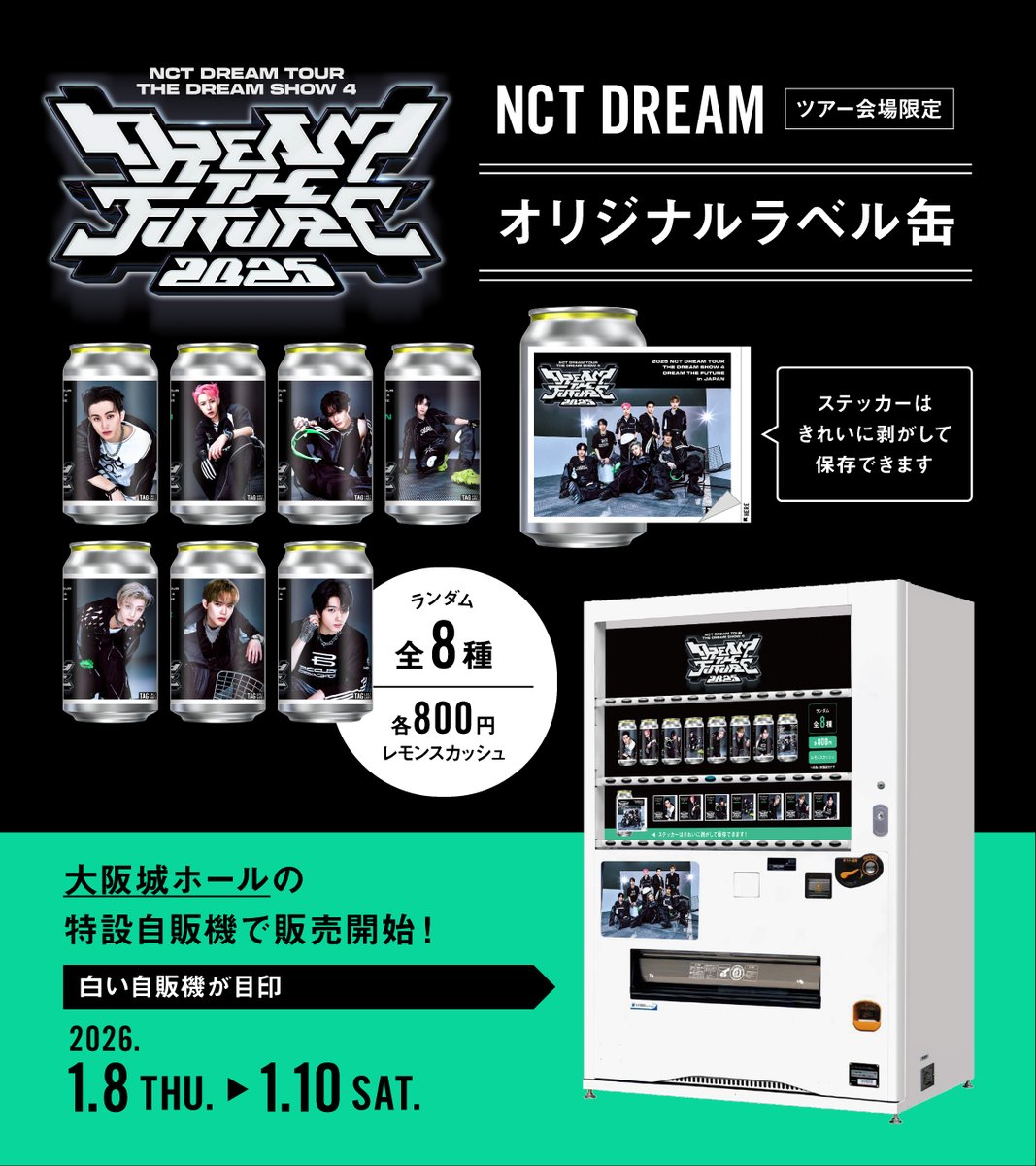 他の方発送×Michel loeb lithograph 90限定 LV-N349c 三菱 ランサー GSRエボリューション IX MR ラリーアート仕様