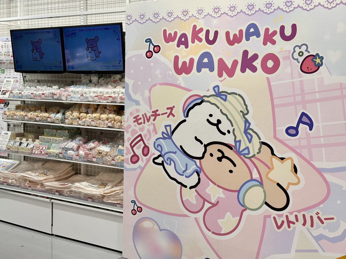 本日スタート／ Maltese(モルチーズ)ポップアップストア in ロフト