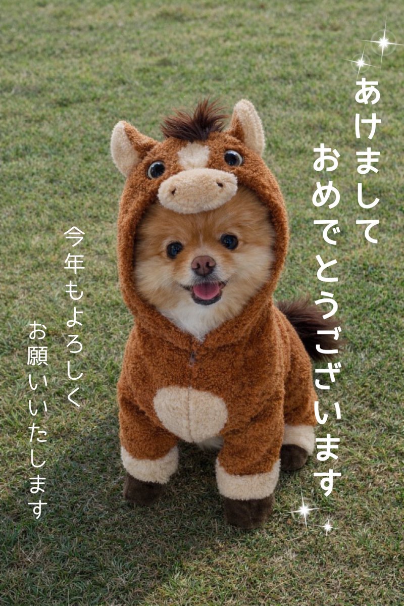 ポメラニアンこまめ (@gfPaOgtThRvy6QP) / Posts / X