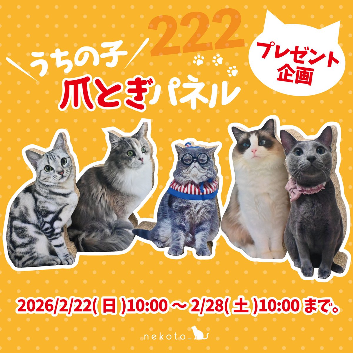 にゃんにゃんにゃん🐾猫の日 ＼#うちの子爪とぎパネル プレゼント企画