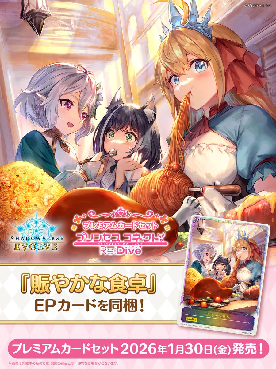 エボルヴ × #プリコネR】 プレミアムカードセット「プリンセスコネクト