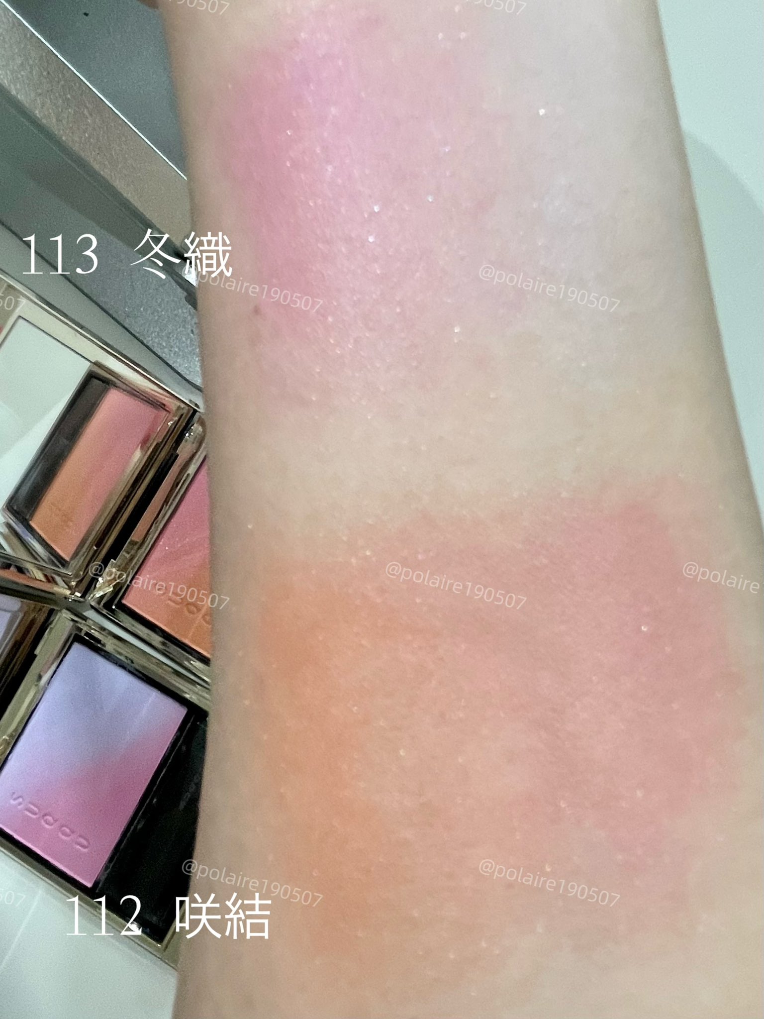 スック 113 SUQQU ブラーリングカラーブラッシュ 113 冬織