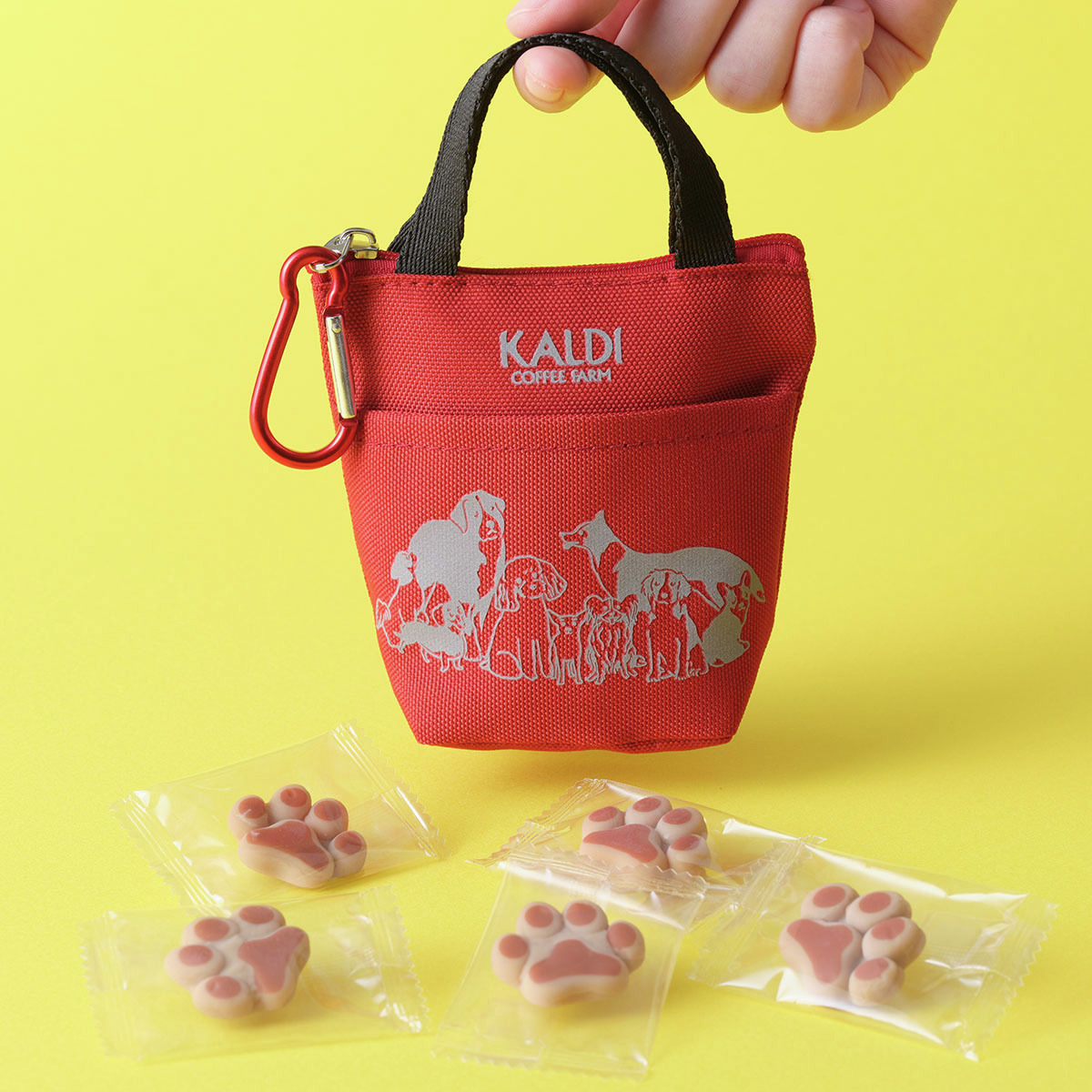 10/3(金)抽選申込み開始！オンラインストア限定 「いぬの日おさんぽ