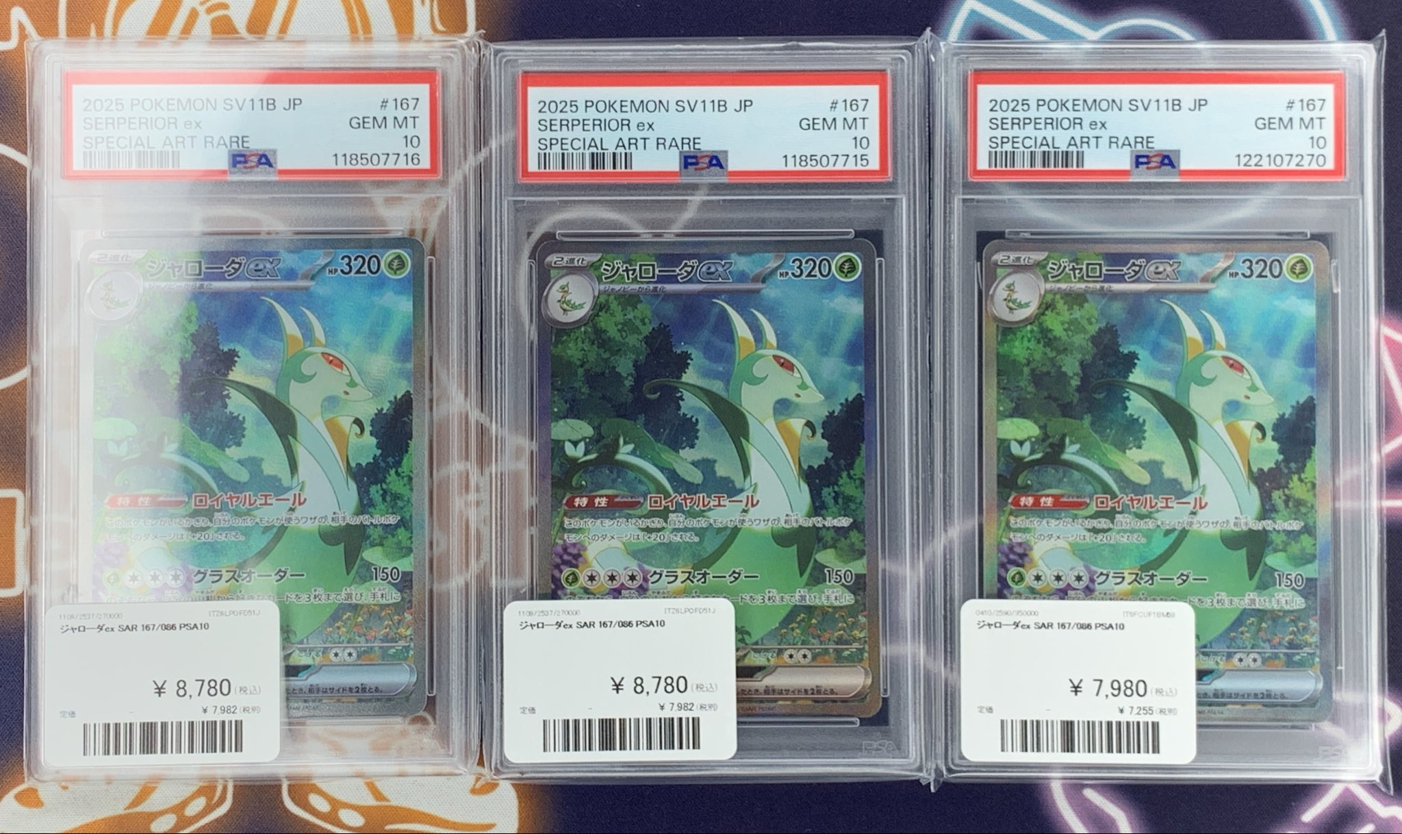 ジャローダv csr PSA10 ジャローダv csr psa10 ジャローダv csr psa10