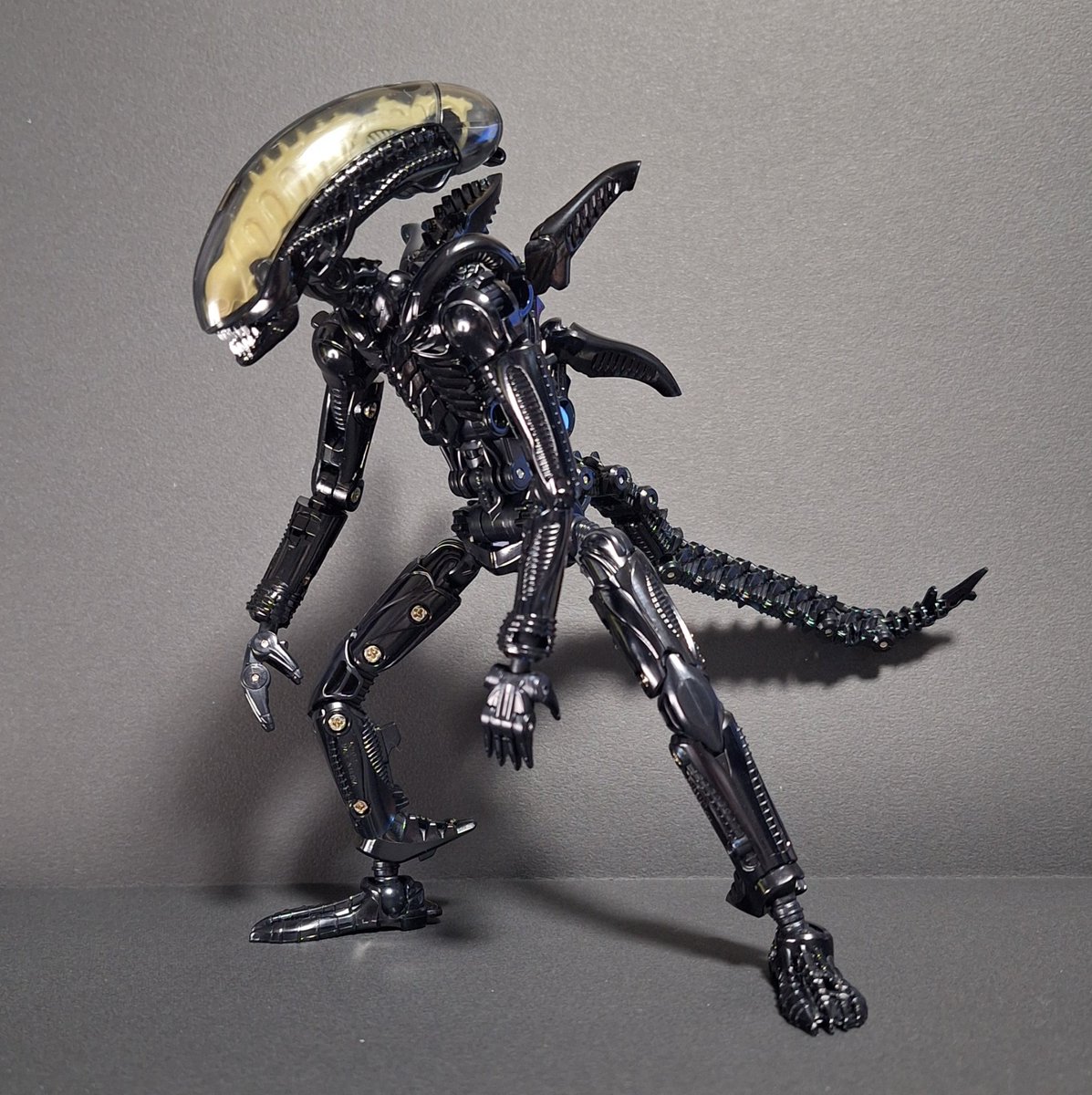 遊しん【雷鳥工房】 (@U_shin_raicho) / Posts / X