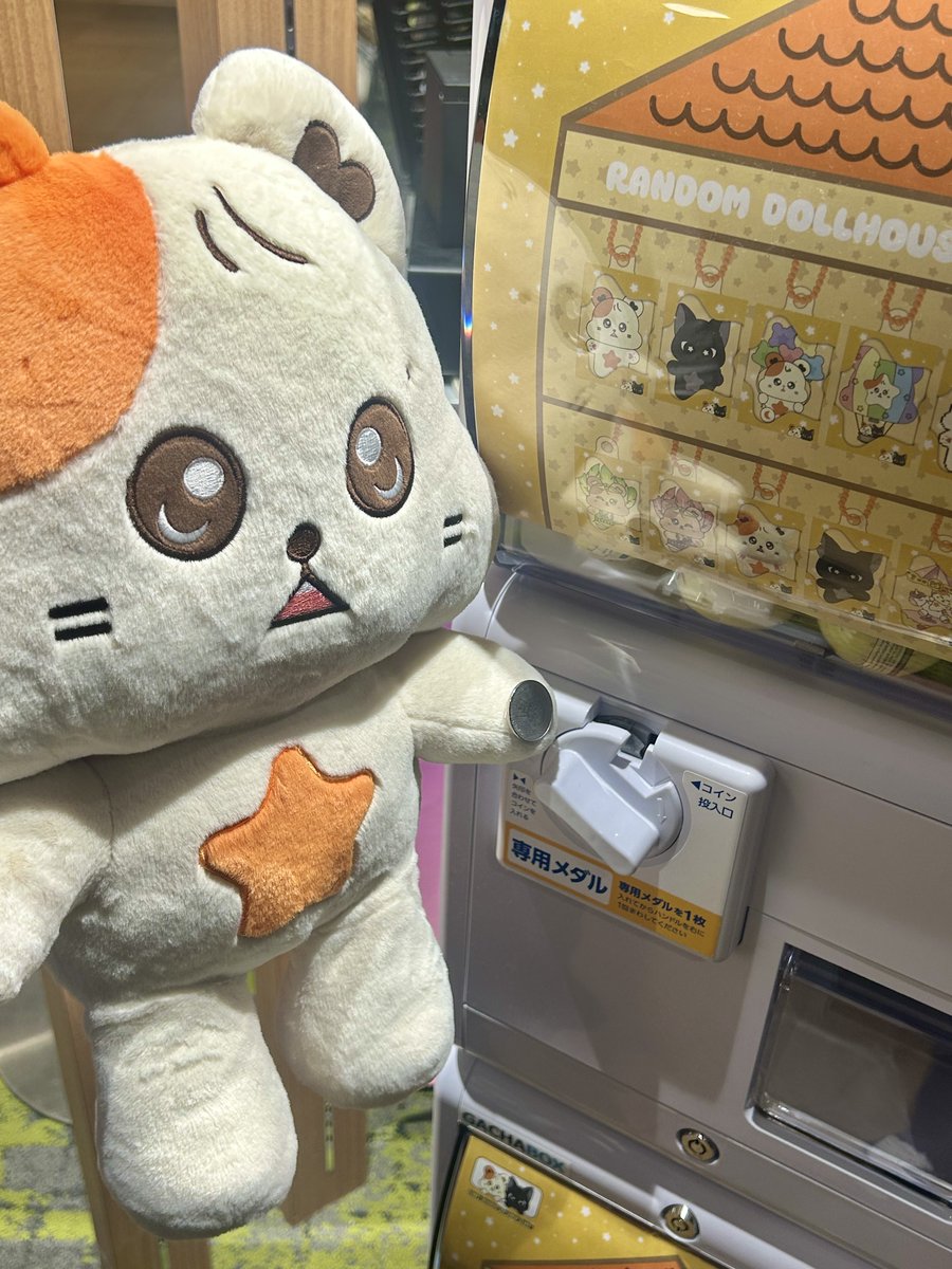 ムンビョル] MOONLIGHT ADVENTURE : HAMBYOLAND ハムビョリも