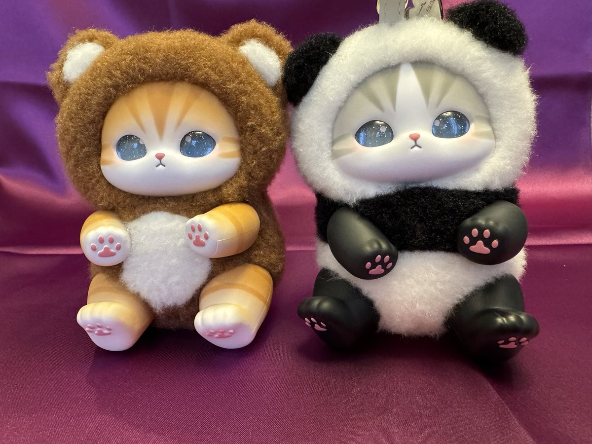 モフサンドのkiramekko購入⚐ くまにゃん、パンダにゃんでした…！ 目が