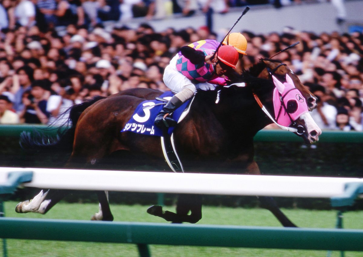 ダンツフレーム は2000年の6月10日にデビューしました。2戦目にダート