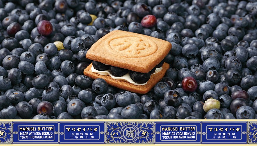 六花亭マルセイバターサンドに「生ブルーベリー」が本日新発売🍇 濃厚