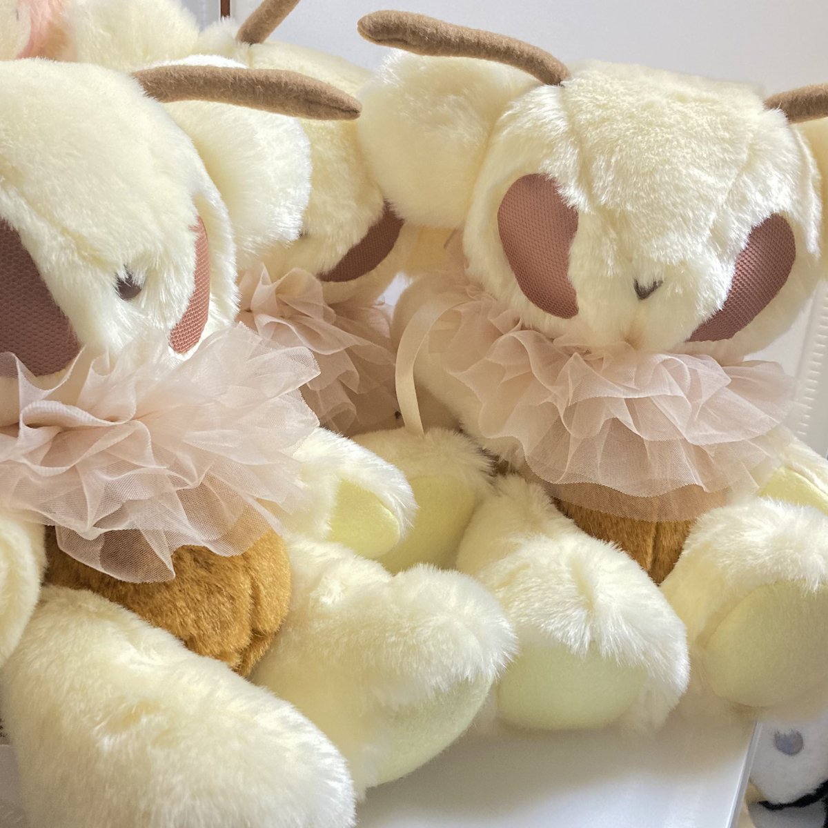 こっちみんなむし (@minna130) / Posts / X