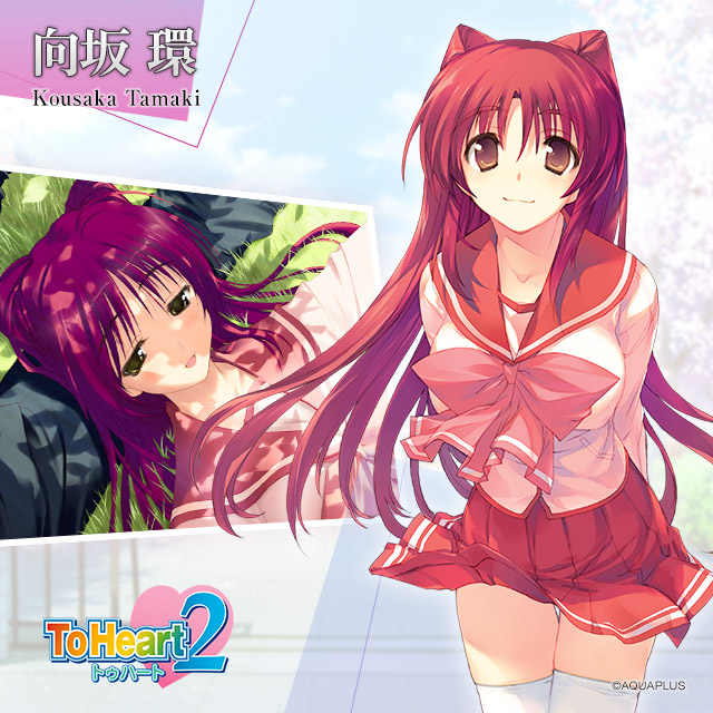 アクアプラス Chaos TCG カオス「向坂環」サイン SP アクアプラス